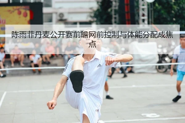 陈雨菲丹麦公开赛前瞻网前控制与体能分配成焦点